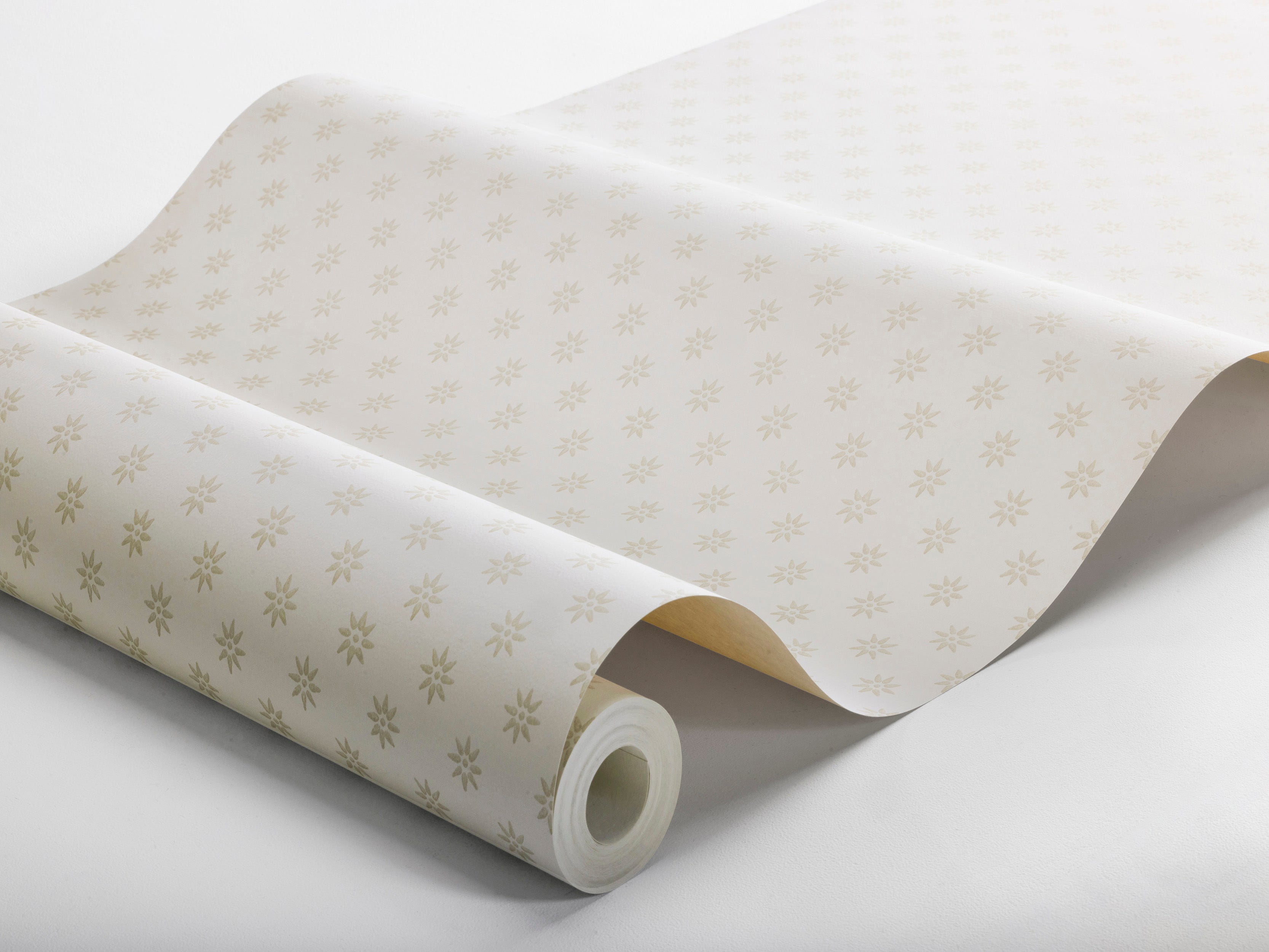 Skogsstjärna, Beige