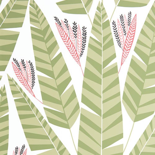 Jungle Palm