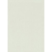 Qvintus Ljusgröngrå