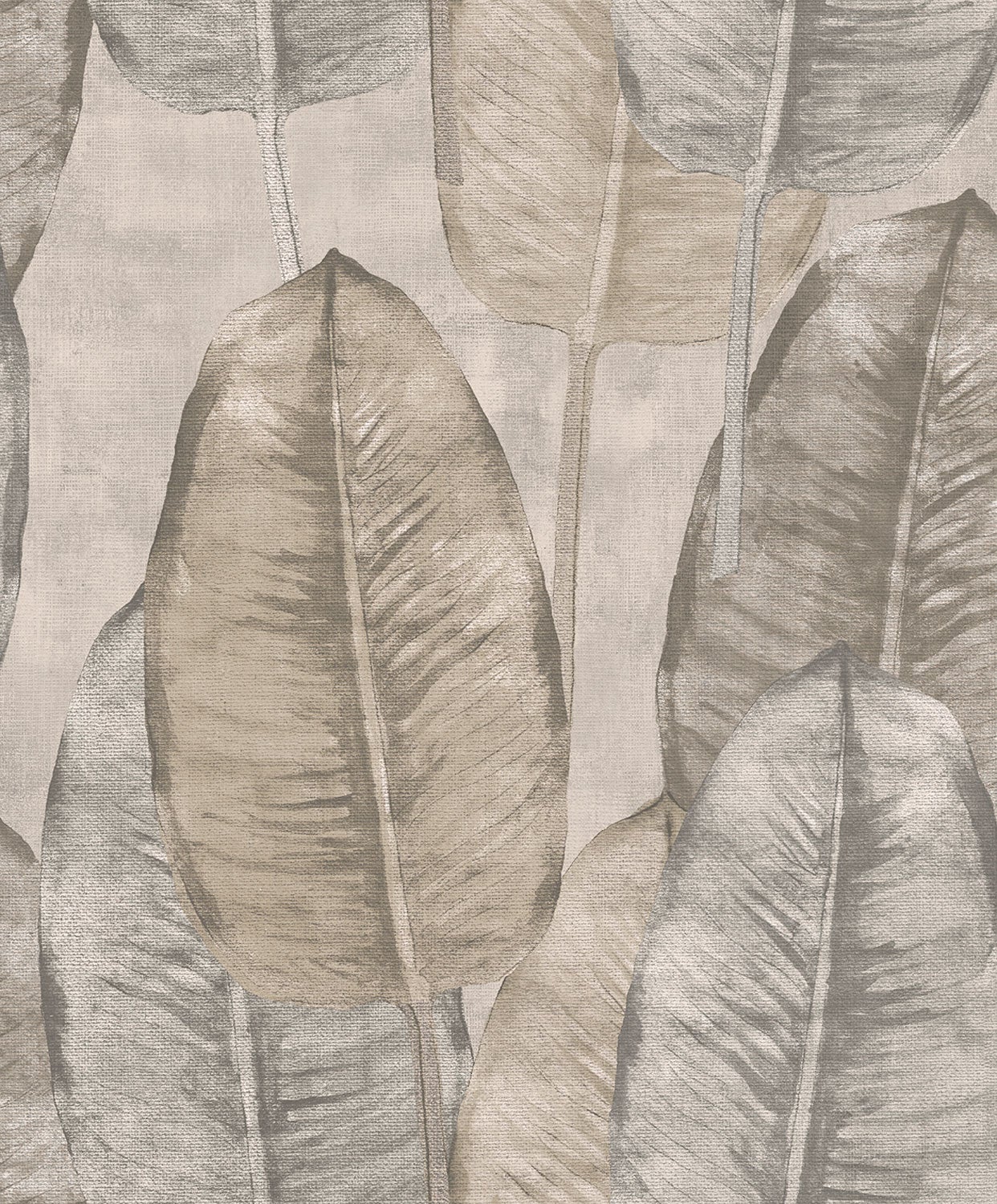Rubber Tree, grå tapet
