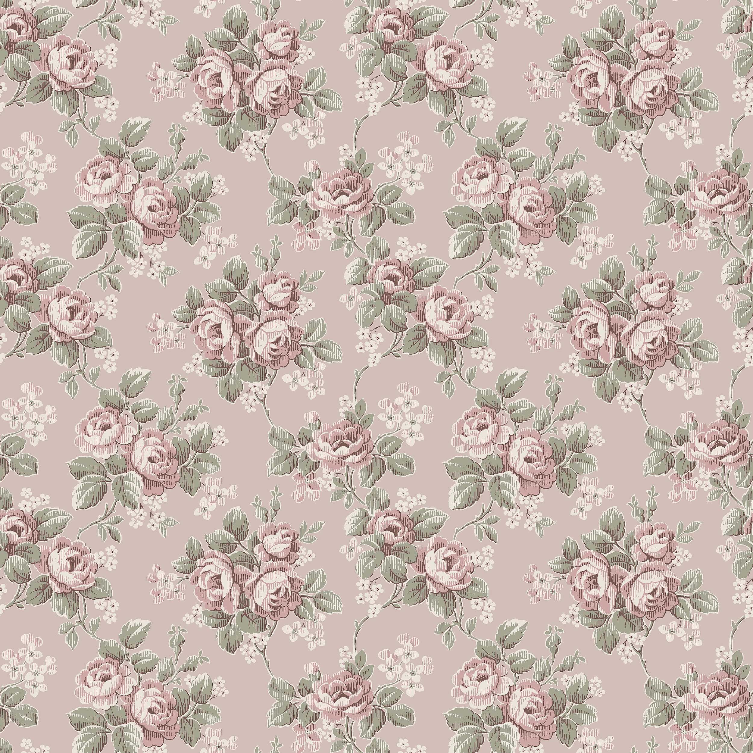 Helena, rosa