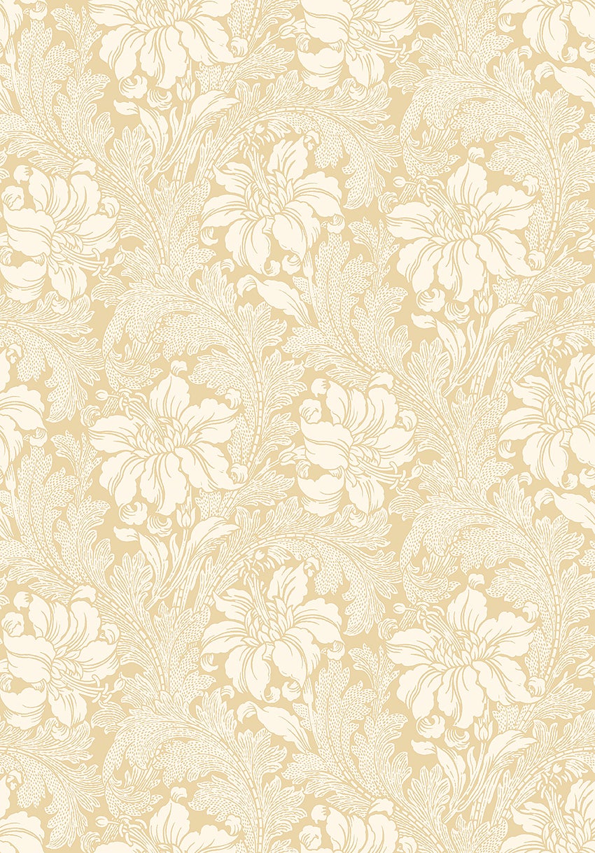 Acanthus storblommig, ljusbeige/gul