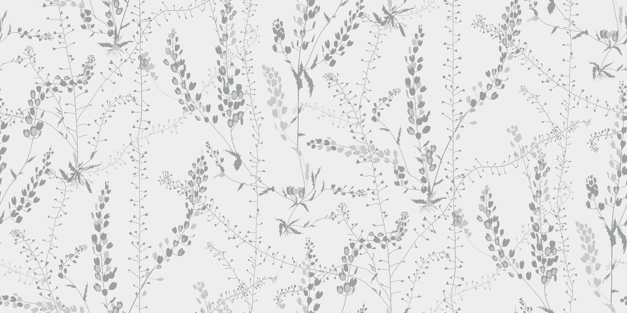 Bladranker, vit/grå