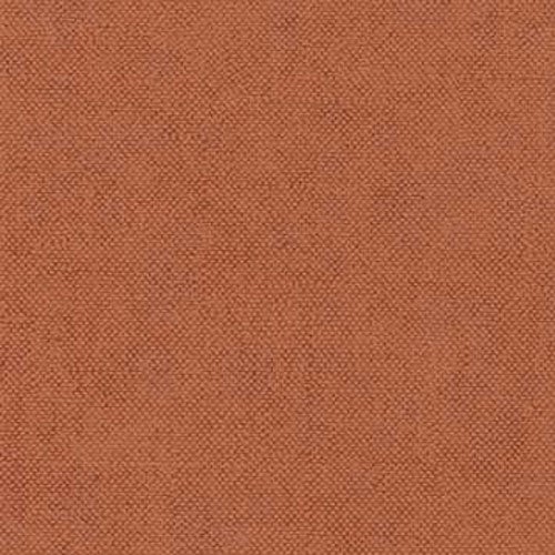 Lys Mango CLR017 