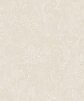 Bellis Angora ROM101