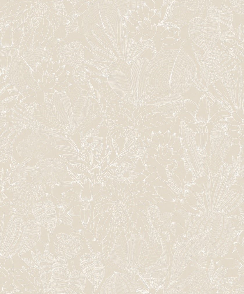 Bellis Angora ROM101