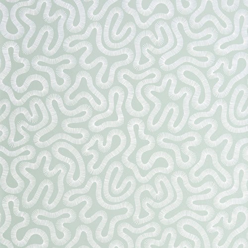 Coral Celestel