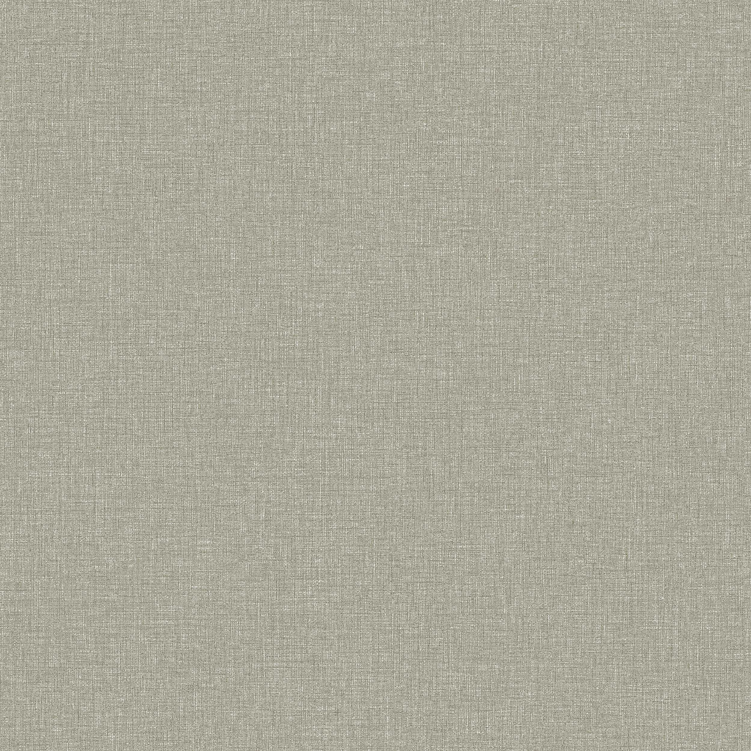 Canvas Olive
