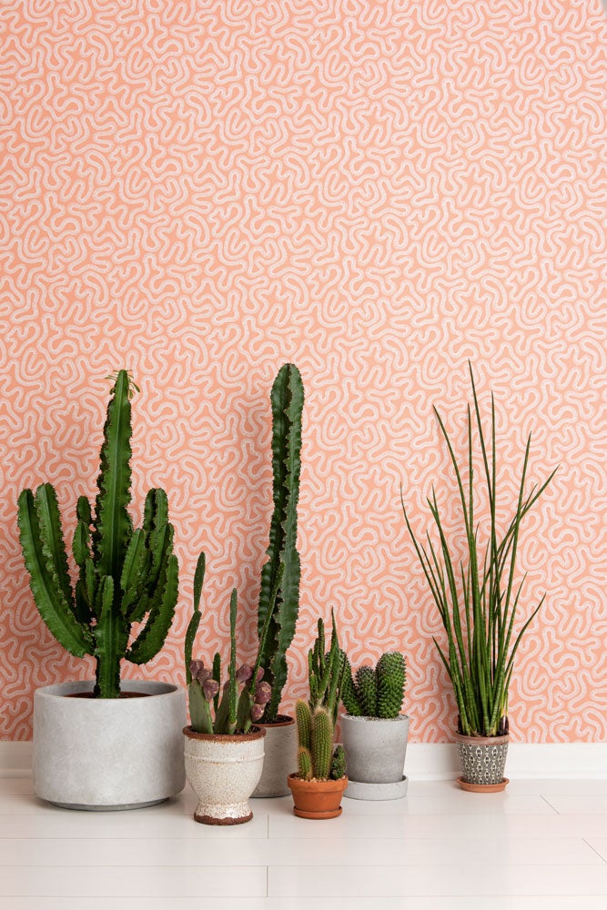 Coral peach blusch