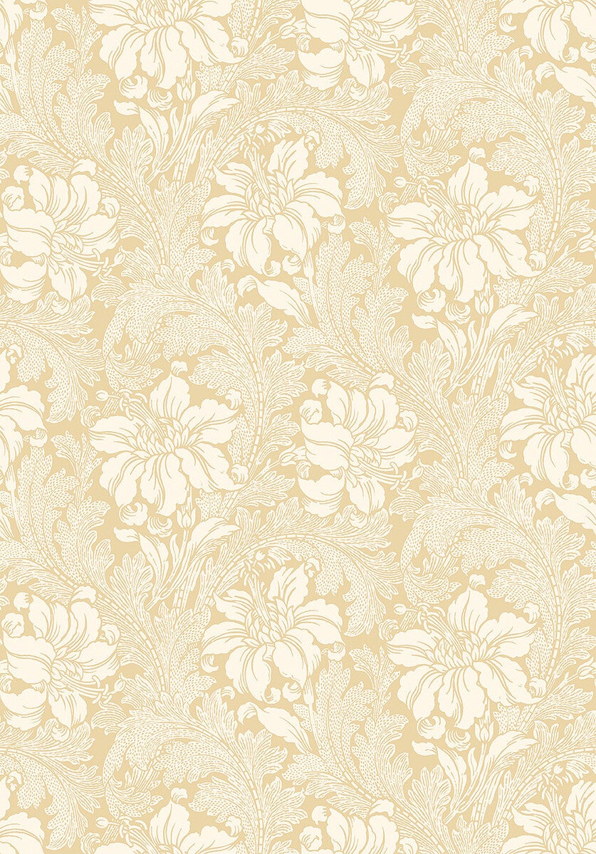 Acanthus storblommig, ljusbeige/gul