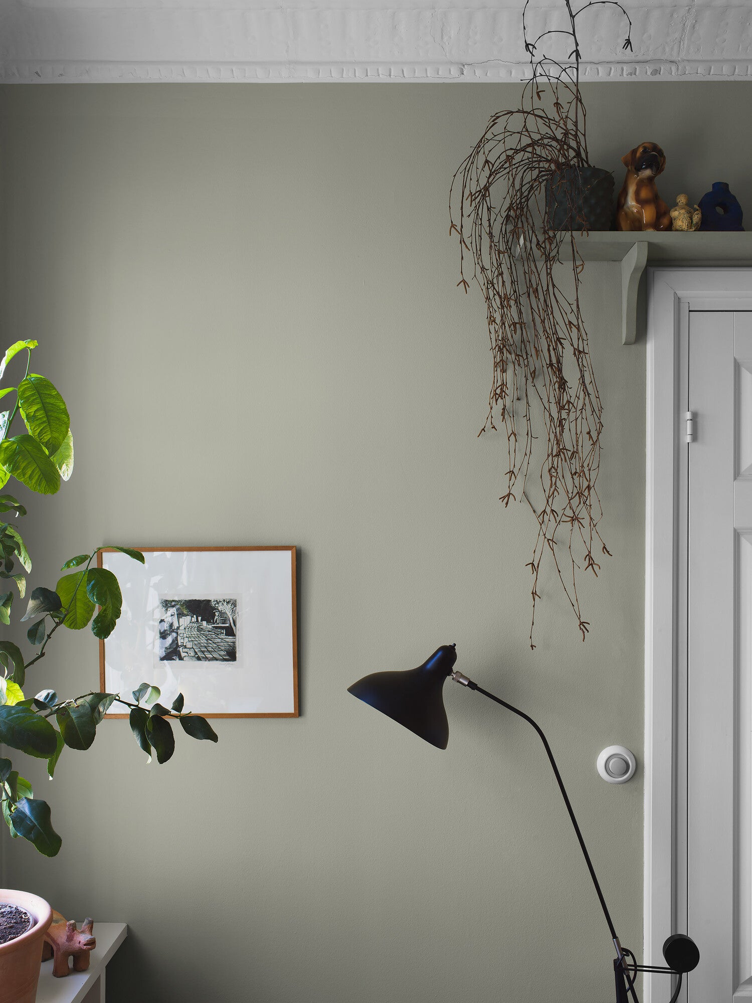 Linden Green, grön 7559 tapet